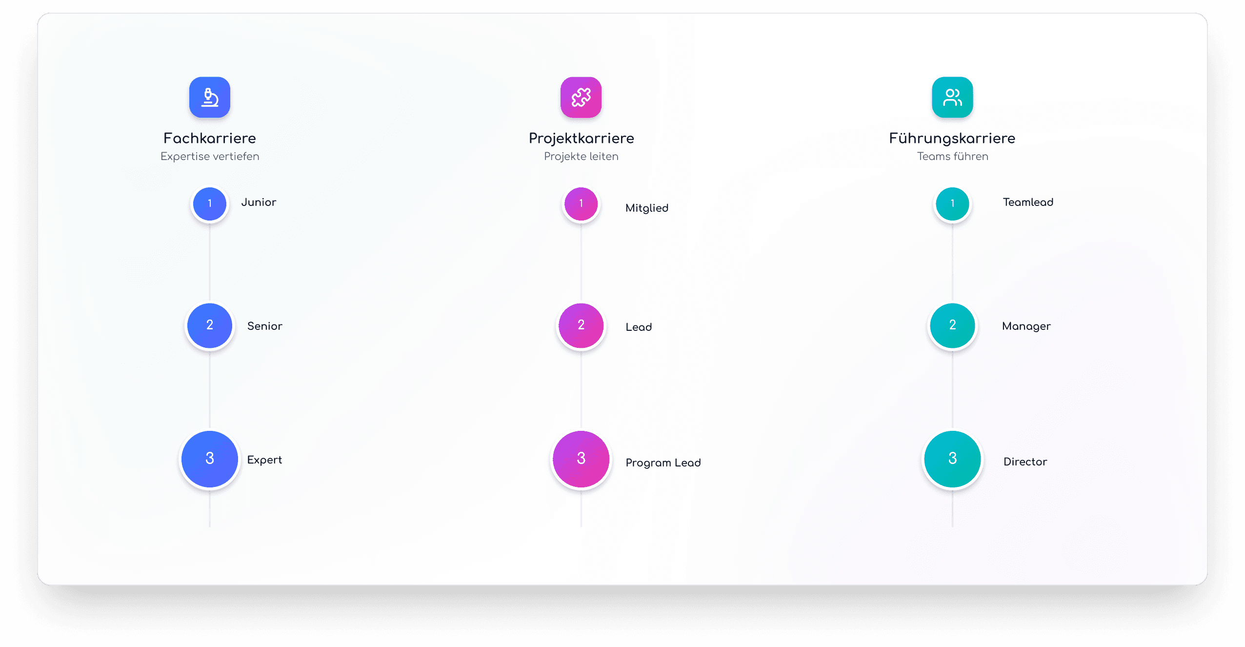 Karrierewege 3 Beispiele